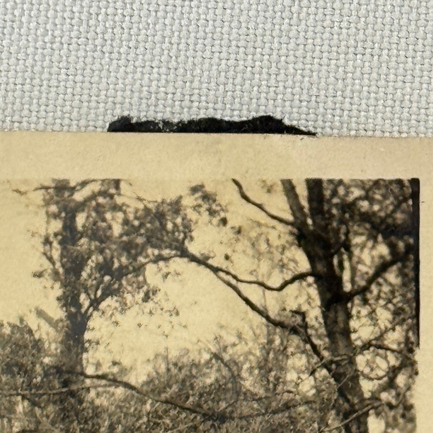 Vintage Car Automobile Photo Photograph Print Snapshot Man