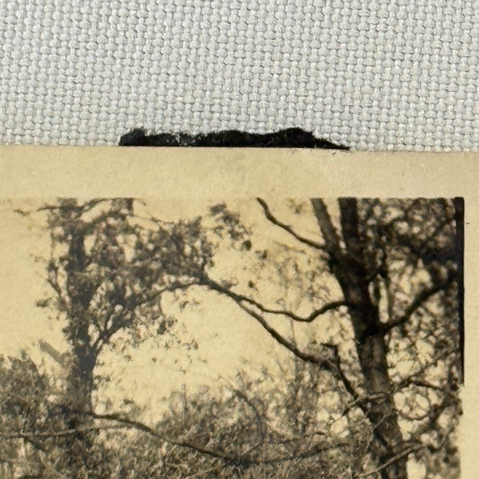 Vintage Car Automobile Photo Photograph Print Snapshot Man