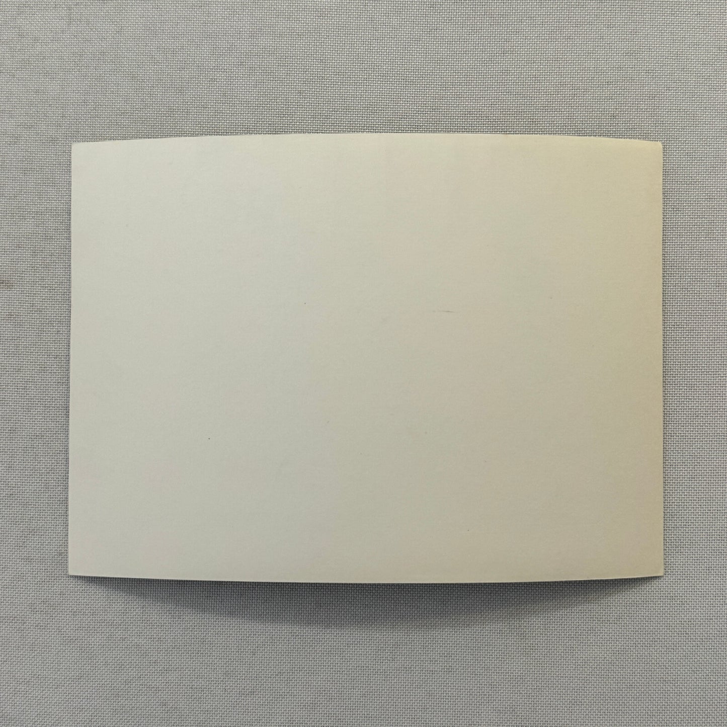 Porsche 924 and Porsche 924 Turbo Car Factory Press Photo Photograph