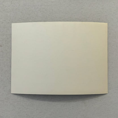 Porsche 924 and Porsche 924 Turbo Car Factory Press Photo Photograph