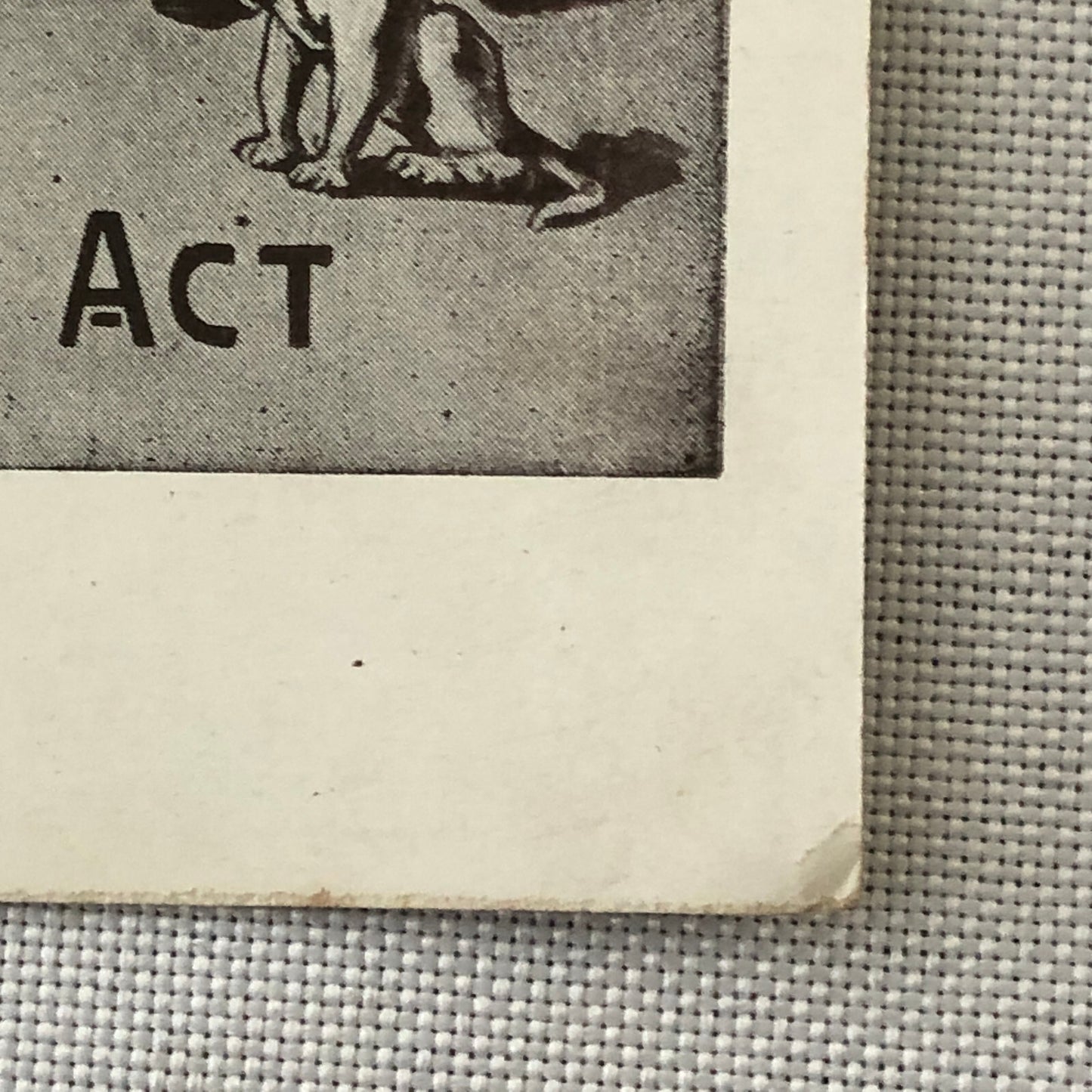 Circus Comedy Act Postcard Post Card Miss Lucy and Facksonss Vintage