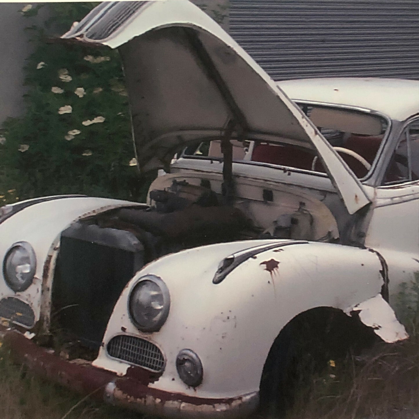Vintage 1954 BMW 501 V8 Car Barn Find Junk Yard Photo Photograph Print 