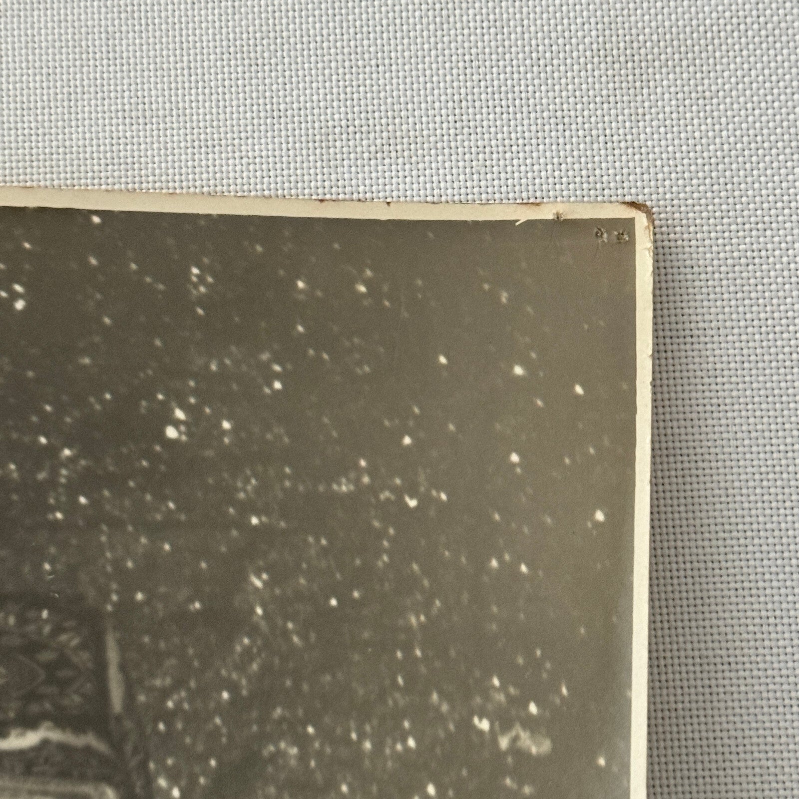 Vintage Circus Performer Photo Photograph Heinrich Schuhmann Photographer