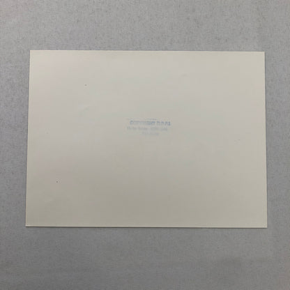 1980 Transafrica Rally Rallye Photo Photograph DPPI Citroen Car