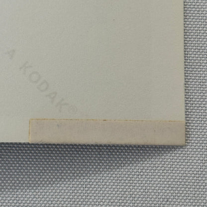 1949 Riley Car Photo Automobile Photograph Vintage