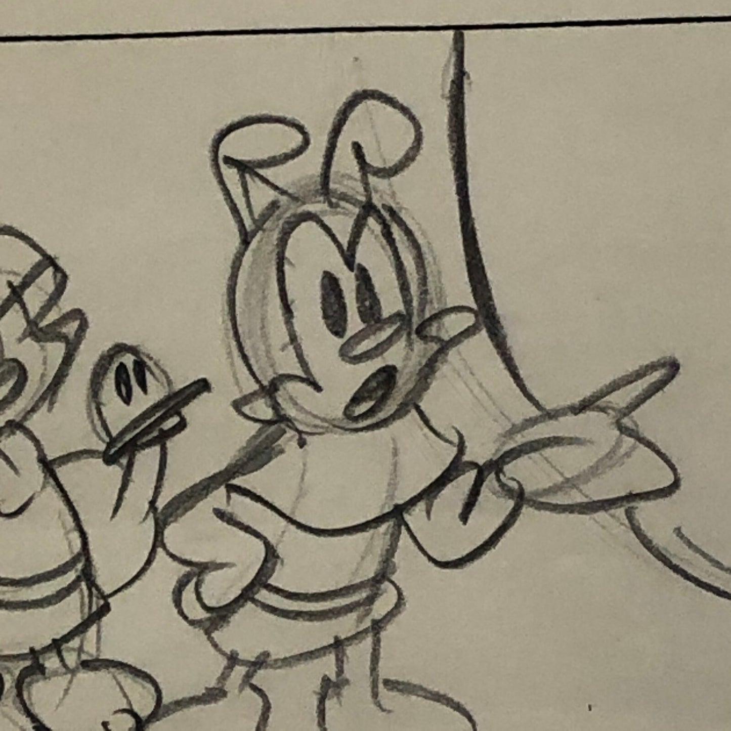 ANIMANIACS Animation Storyboard Illustration Drawing Sketch Story Board Art