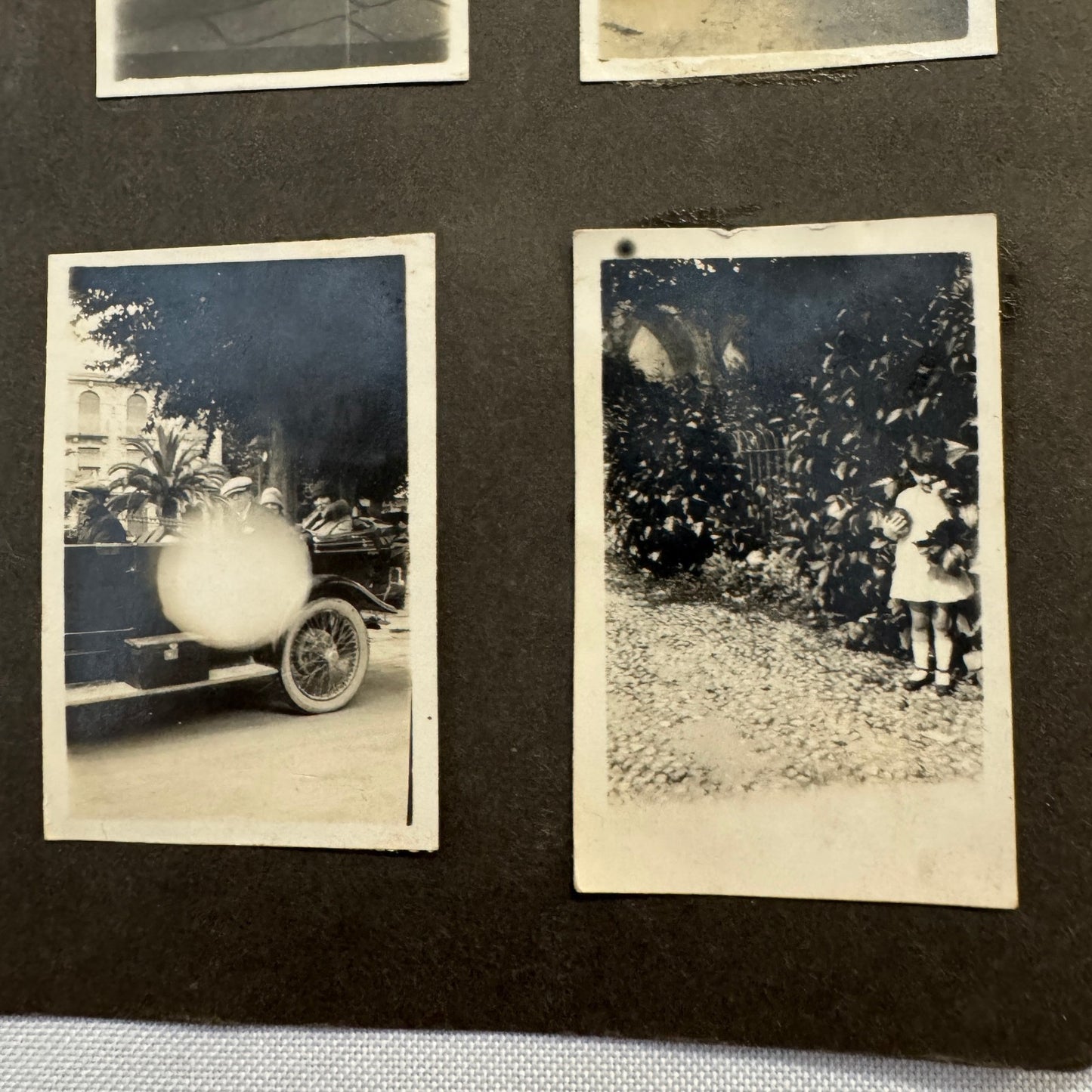 Vintage Photo Album Pages Car Automobile People Horse Cow Animals European