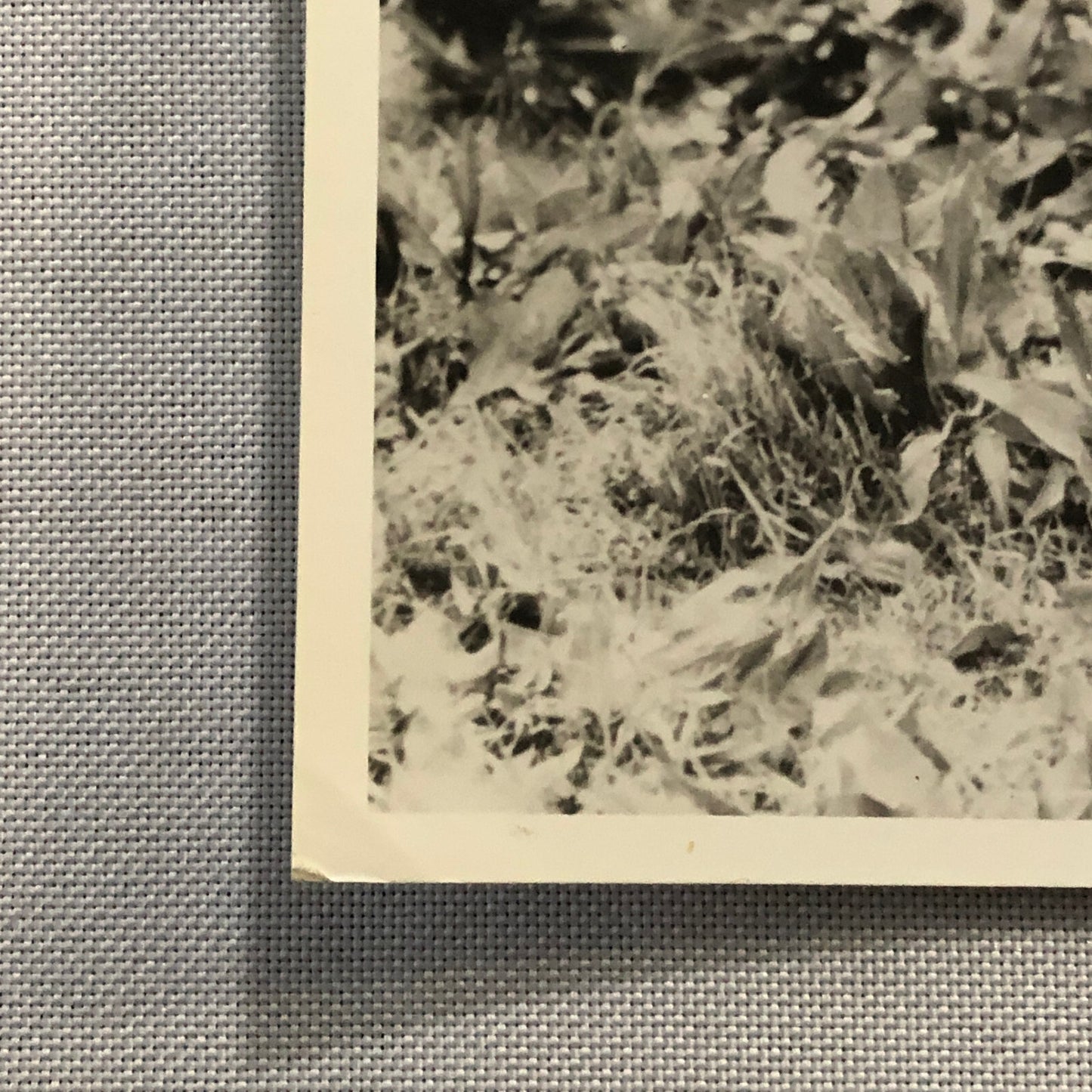 True Heart Susie Vintage Movie Film Still Photo Photograph Modern Print