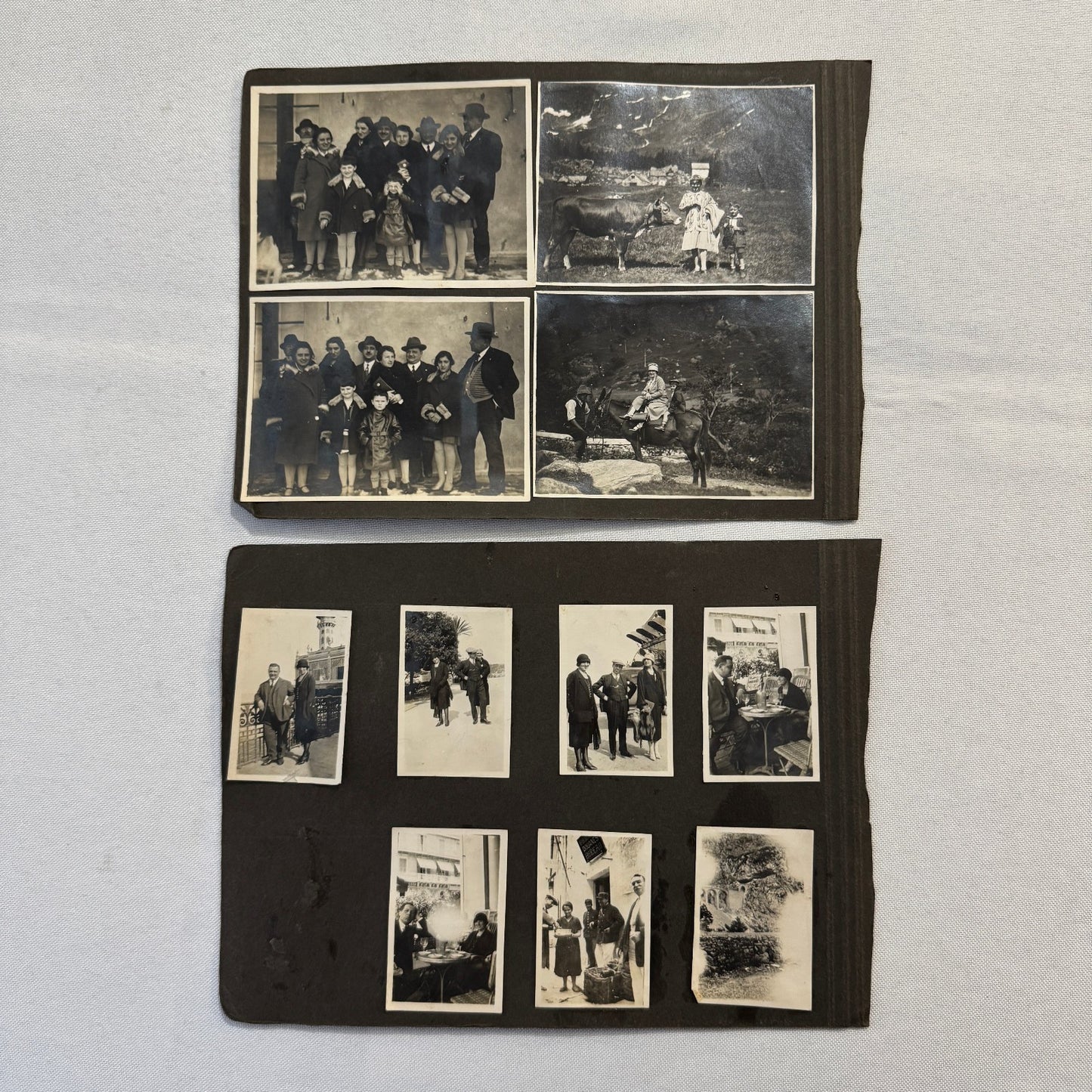 Vintage Photo Album Pages Car Automobile People Horse Cow Animals European