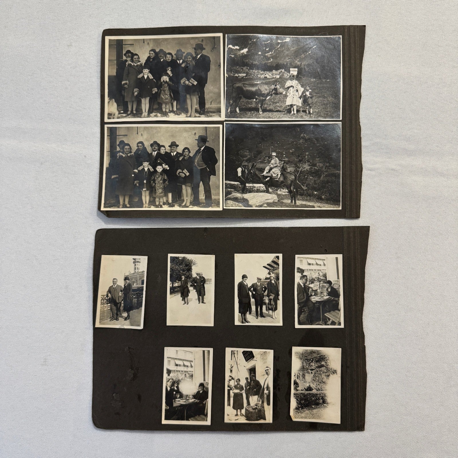 Vintage Photo Album Pages Car Automobile People Horse Cow Animals European