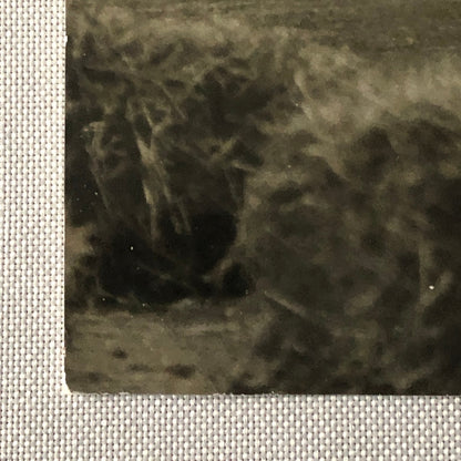 Vintage Racing Photo Photograph Ford GT40 GT Porsche + AH Rottensteiner 