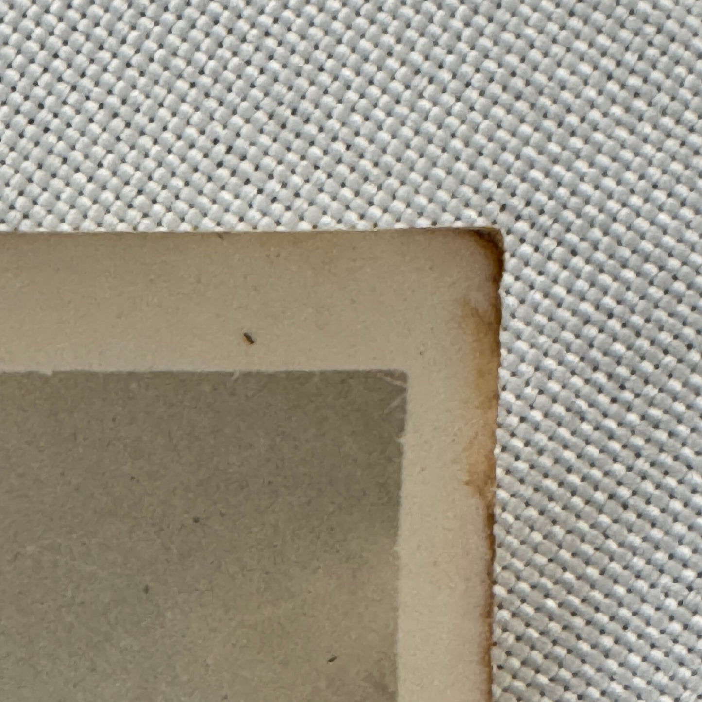 Circus Rollerskating Roller Skate Circus Act Photo Photograph The Skating Jewels