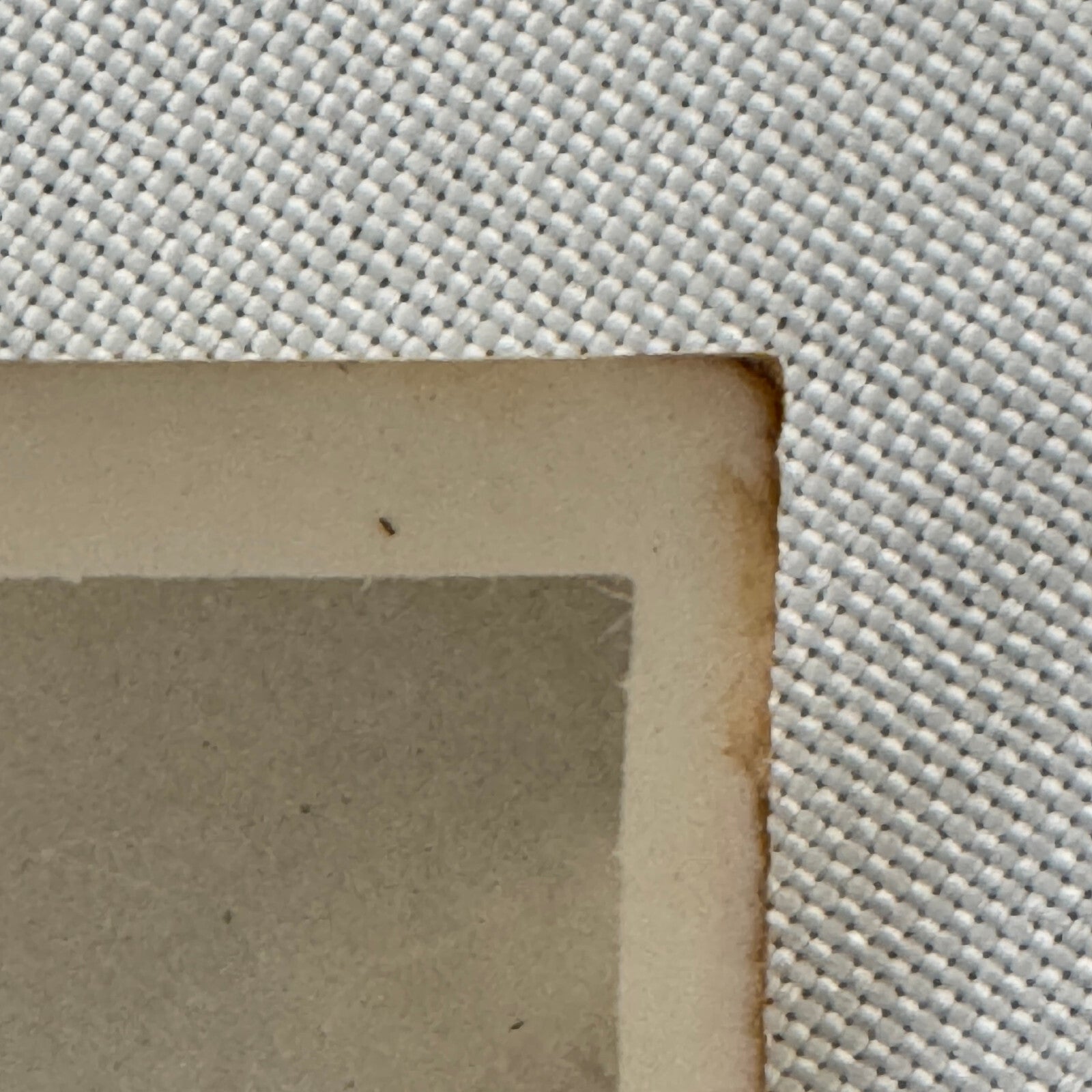 Circus Rollerskating Roller Skate Circus Act Photo Photograph The Skating Jewels