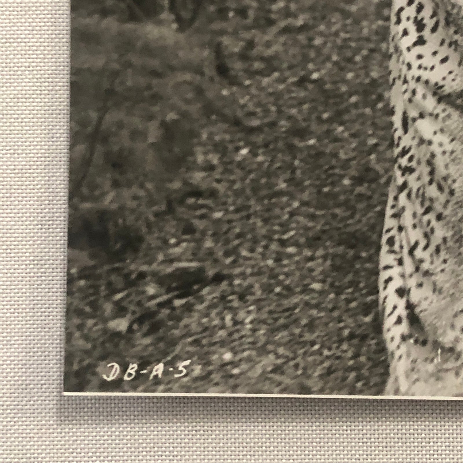 Katharine Hepburn Actress Photo Photograph Print Movie Still A Delicate Balance