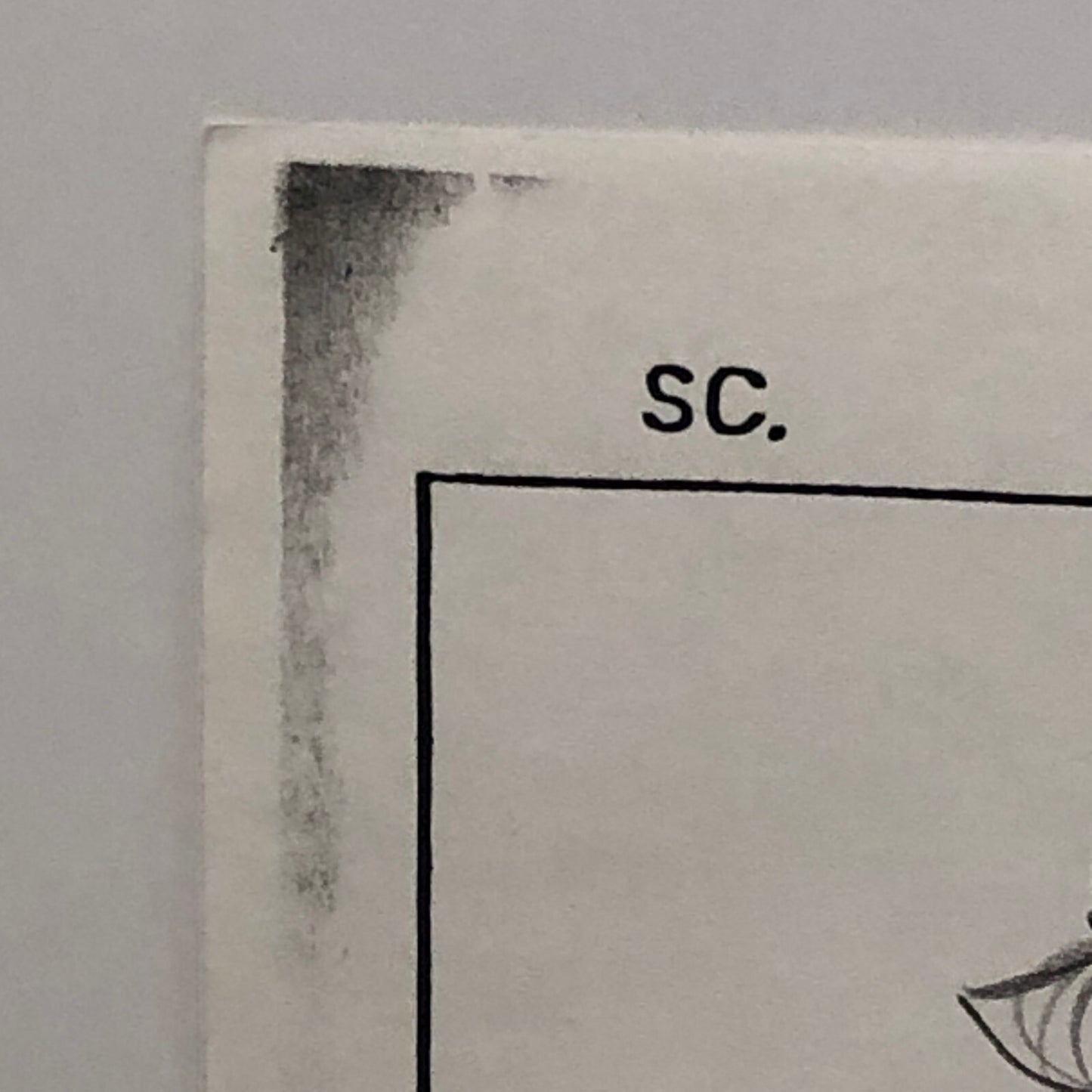 ANIMANIACS Animation Storyboard Illustration Drawing Sketch Art Story Board