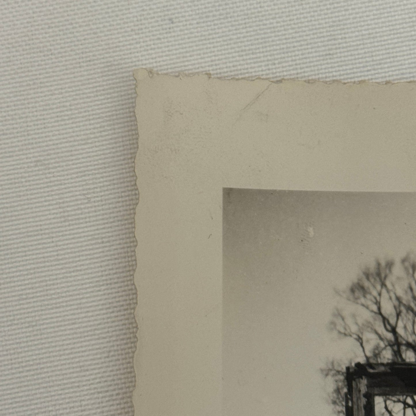 Vintage Truck Photo Photograph Print Snapshot