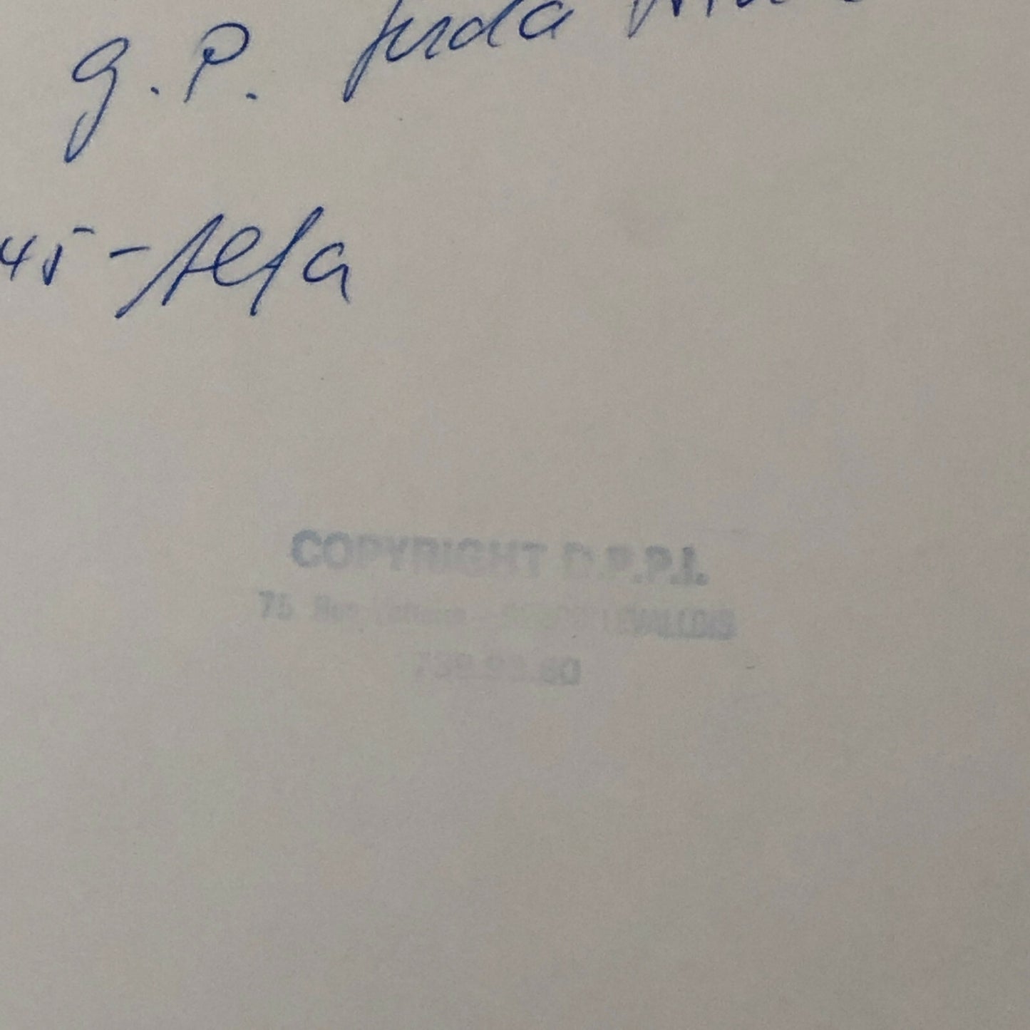 1977 South African Grand Prix Racing Photo Photograph Martini Alfa Romeo