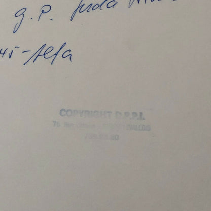 1977 South African Grand Prix Racing Photo Photograph Martini Alfa Romeo