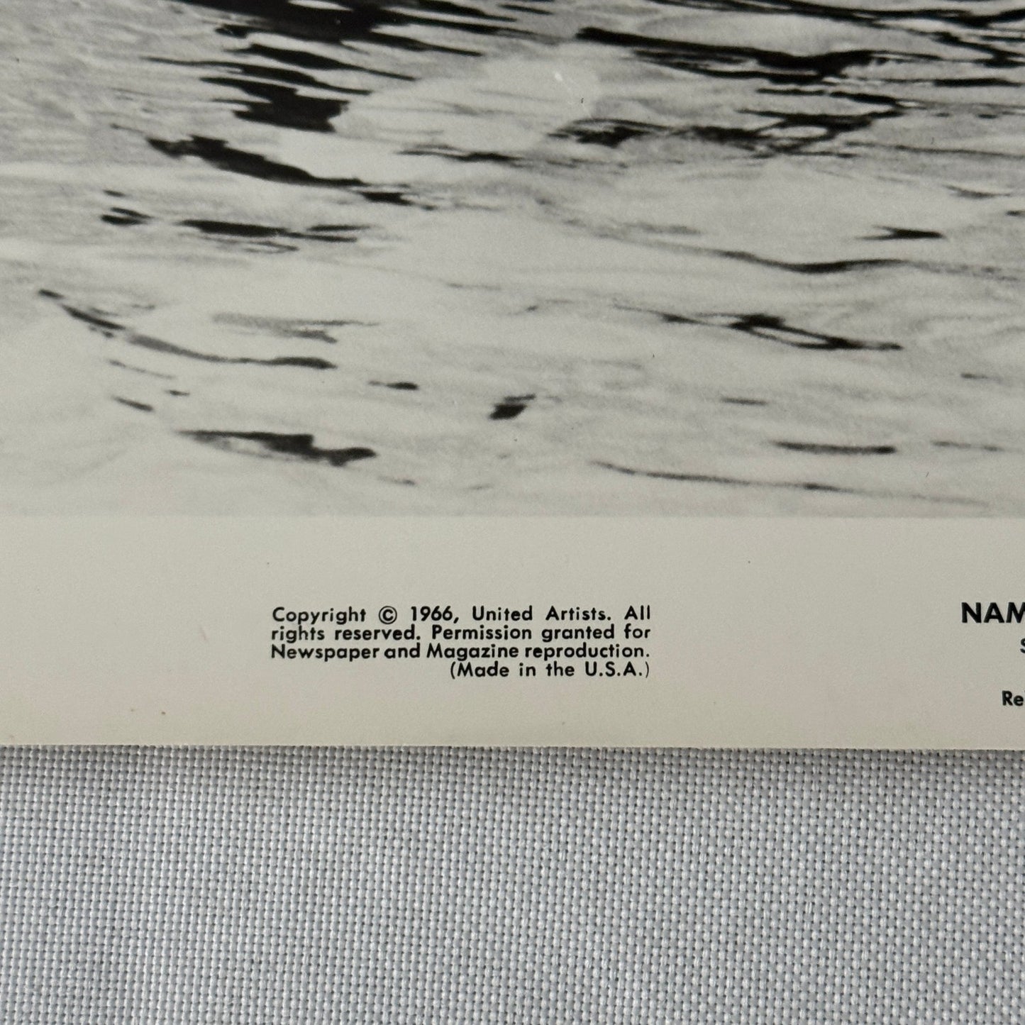 Vintage Movie Still Press Photo Photograph Namu the Killer Whale 1966