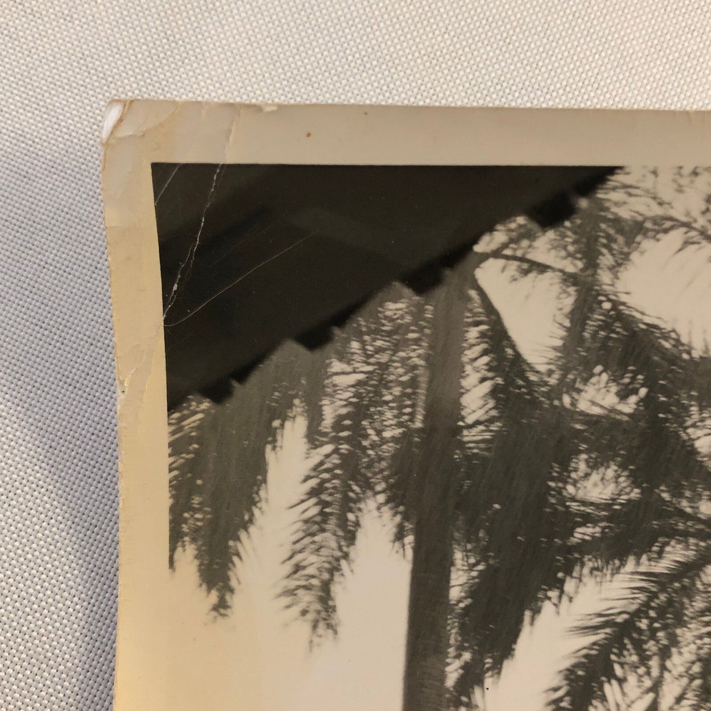 Vintage Photo Photograph Print Cars in the Rain - Tag PSAS23