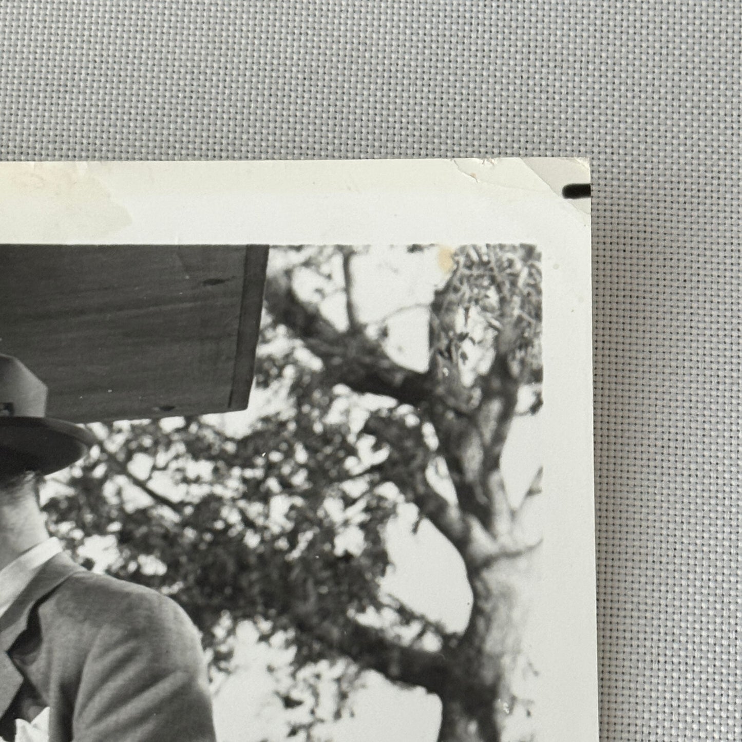 Vintage Movie Press Photo Photograph Right Cross MGM TV Boxing Boxer