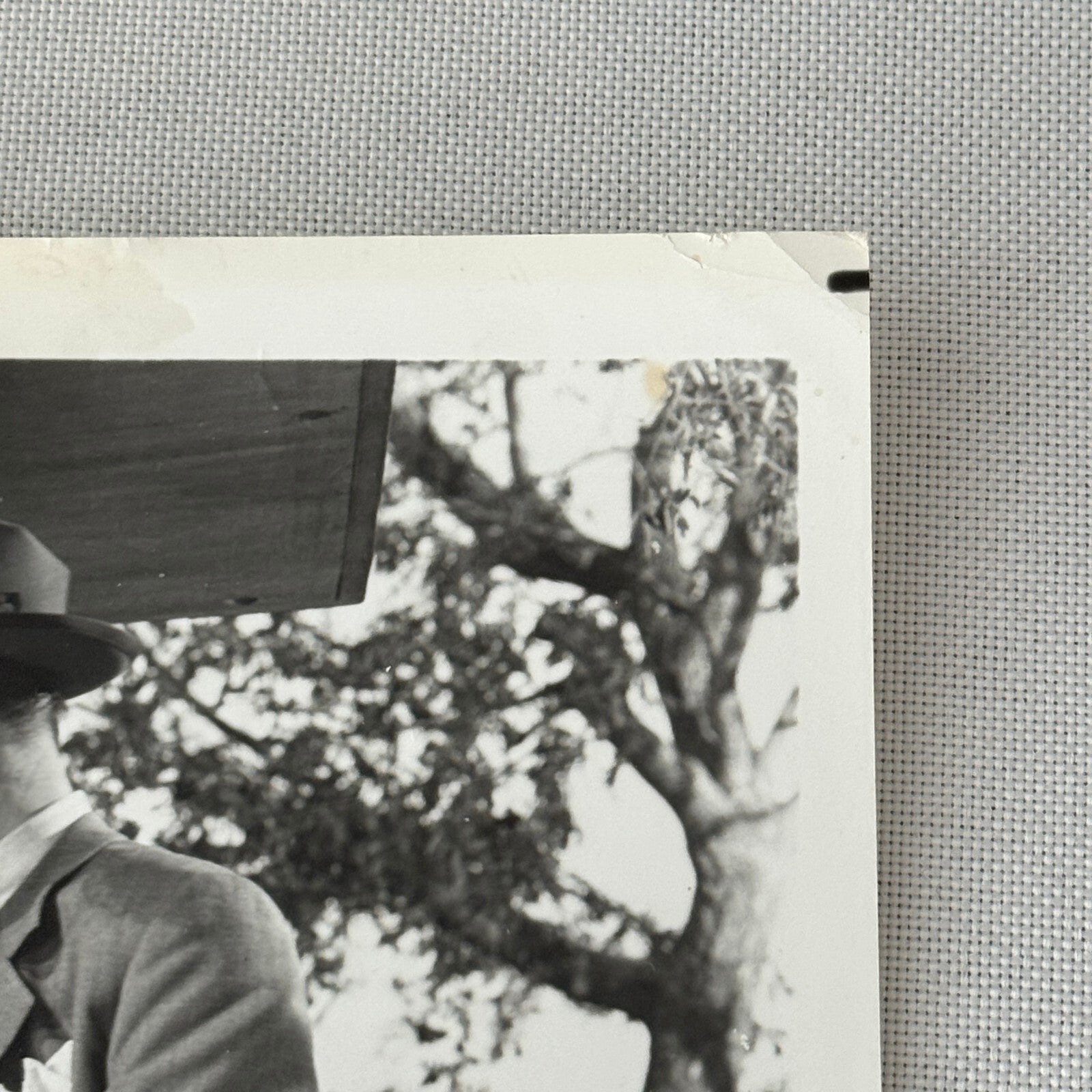 Vintage Movie Press Photo Photograph Right Cross MGM TV Boxing Boxer