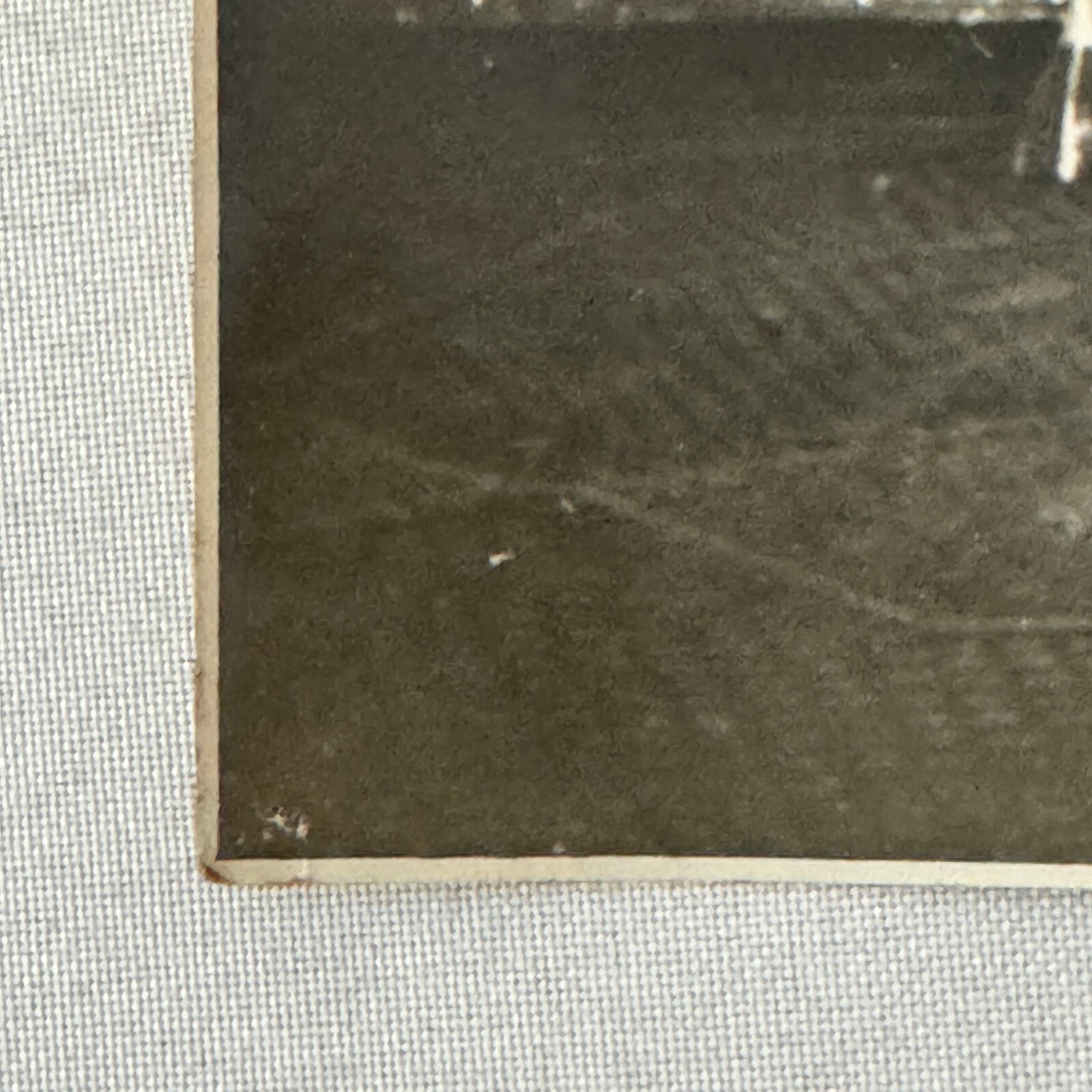 Vintage Circus Performer Photo Photograph Heinrich Schuhmann Photographer