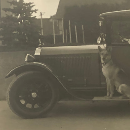 Vintage Dog Photo German Shepherd Car Woman Automobile Photograph AL22SM1