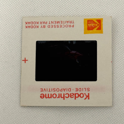 35MM Vintage Photo Slide Porsche 356 B Car Porsche 356B 1980