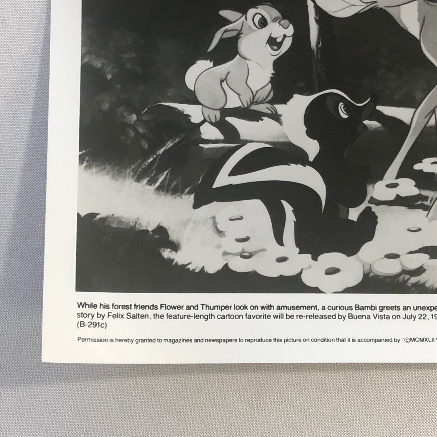 Bambi Flower Thumper Movie Film Re-Release Press Photo Photograph Walt Disney