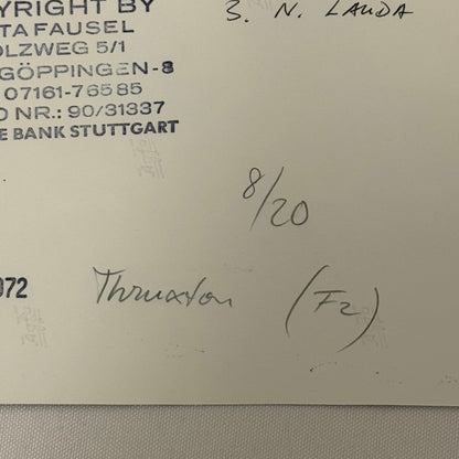 Vintage Racing Photo 1972 Niki Lauda Francois Cevert Ronnie Peterson F2 Thruxton