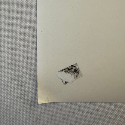 1922 Tourist Trophy TT Race Racing Photo Photograph Vintage Vauxhall Car