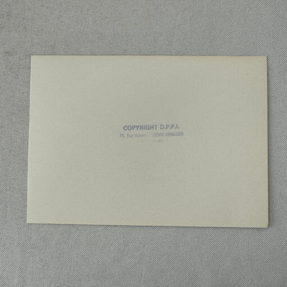 Porsche 911 Carrera 1980 Rallye Monte Carlo Press Photo Photograph DPPI Rally