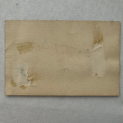 Victorian Trade Card Antique Cat Mouse John Gibson 1881