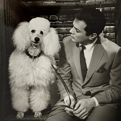 Vintage Movie Still Press Photo Photograph Print Wild and Wonderful Tony Curtis