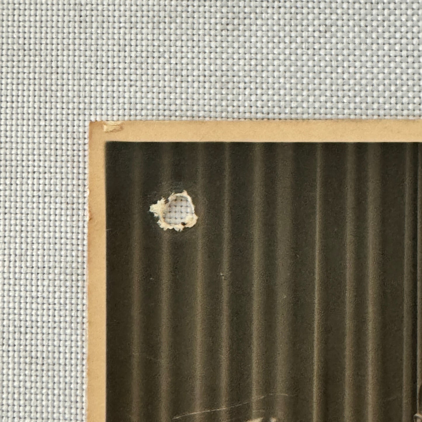 Vintage Circus Rollerskating Roller Skate Act Real Photo Postcard Post Card RPPC