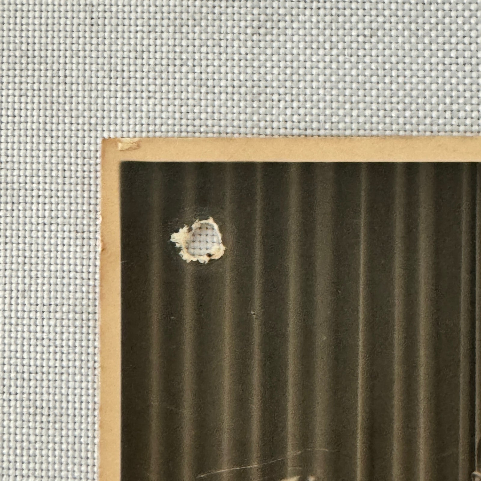 Vintage Circus Rollerskating Roller Skate Act Real Photo Postcard Post Card RPPC