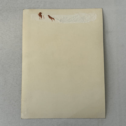 Vintage Circus Acrobat Balancing Act Photo Photograph Beautiful