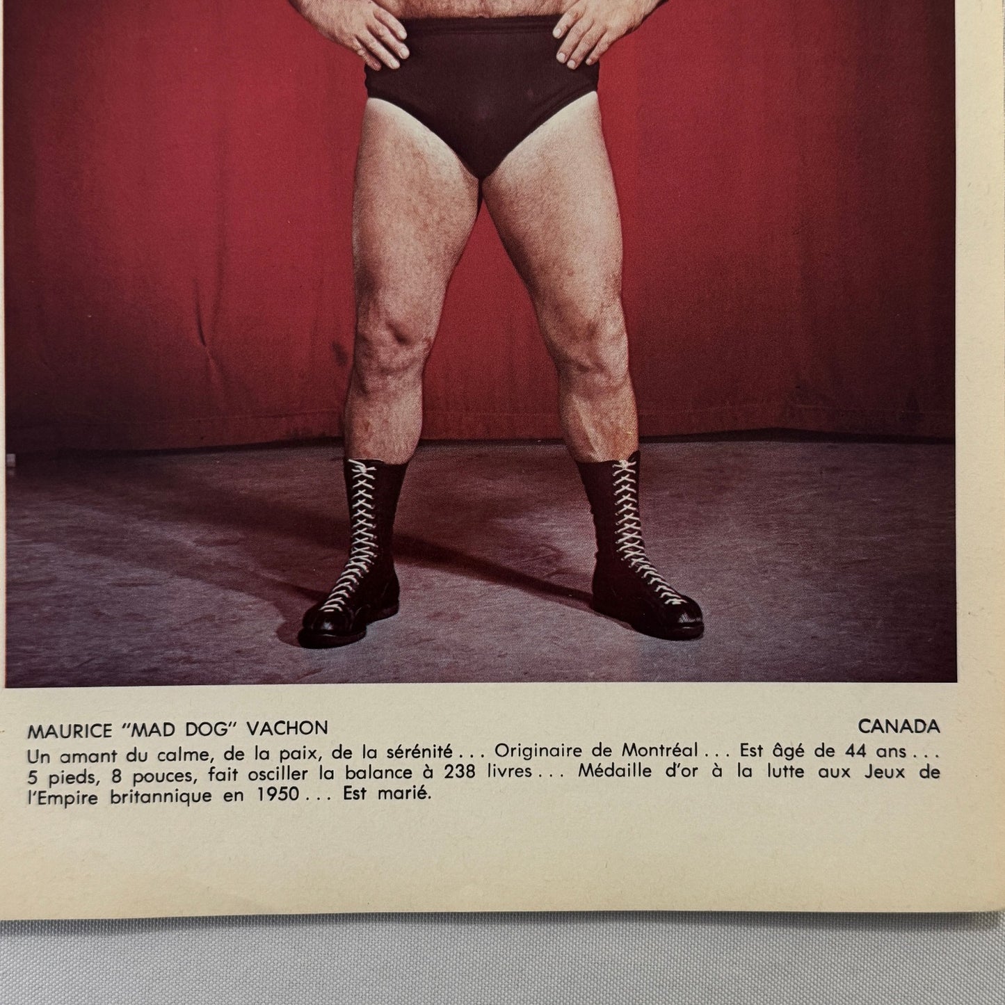 Vintage Wrestling Print Insert Maurice Mad Dog Vachon 1973