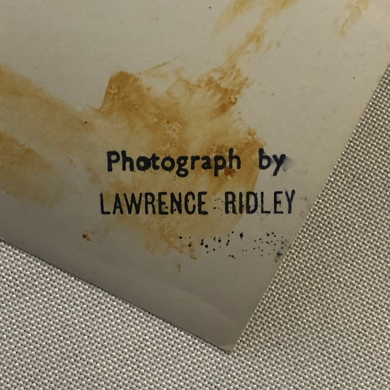 Walt Disney Castaway Movie Film Photo Photograph Maurice Chevalier