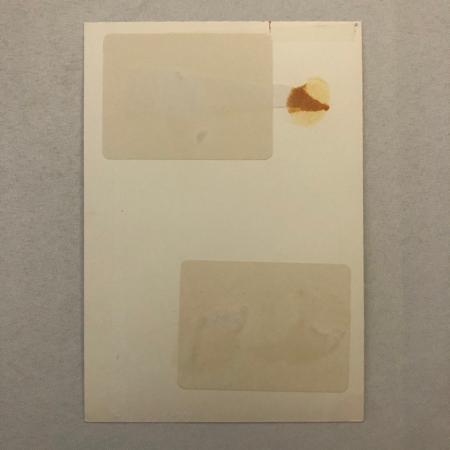 Katharine Hepburn Actress Photo Photograph Print Movie Still