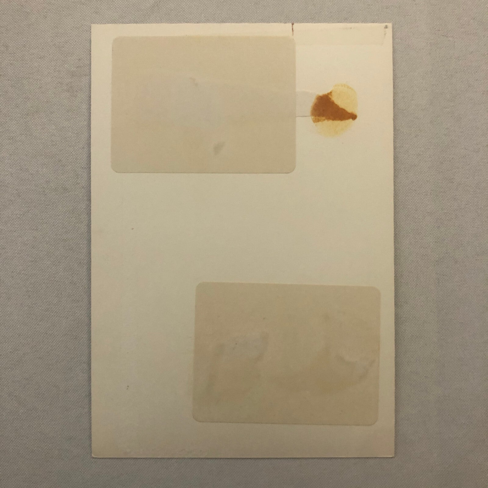 Katharine Hepburn Actress Photo Photograph Print Movie Still