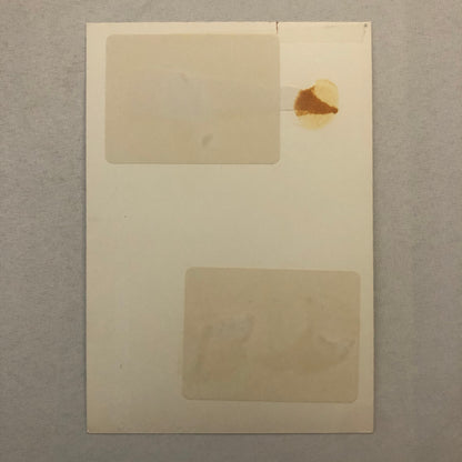 Katharine Hepburn Actress Photo Photograph Print Movie Still