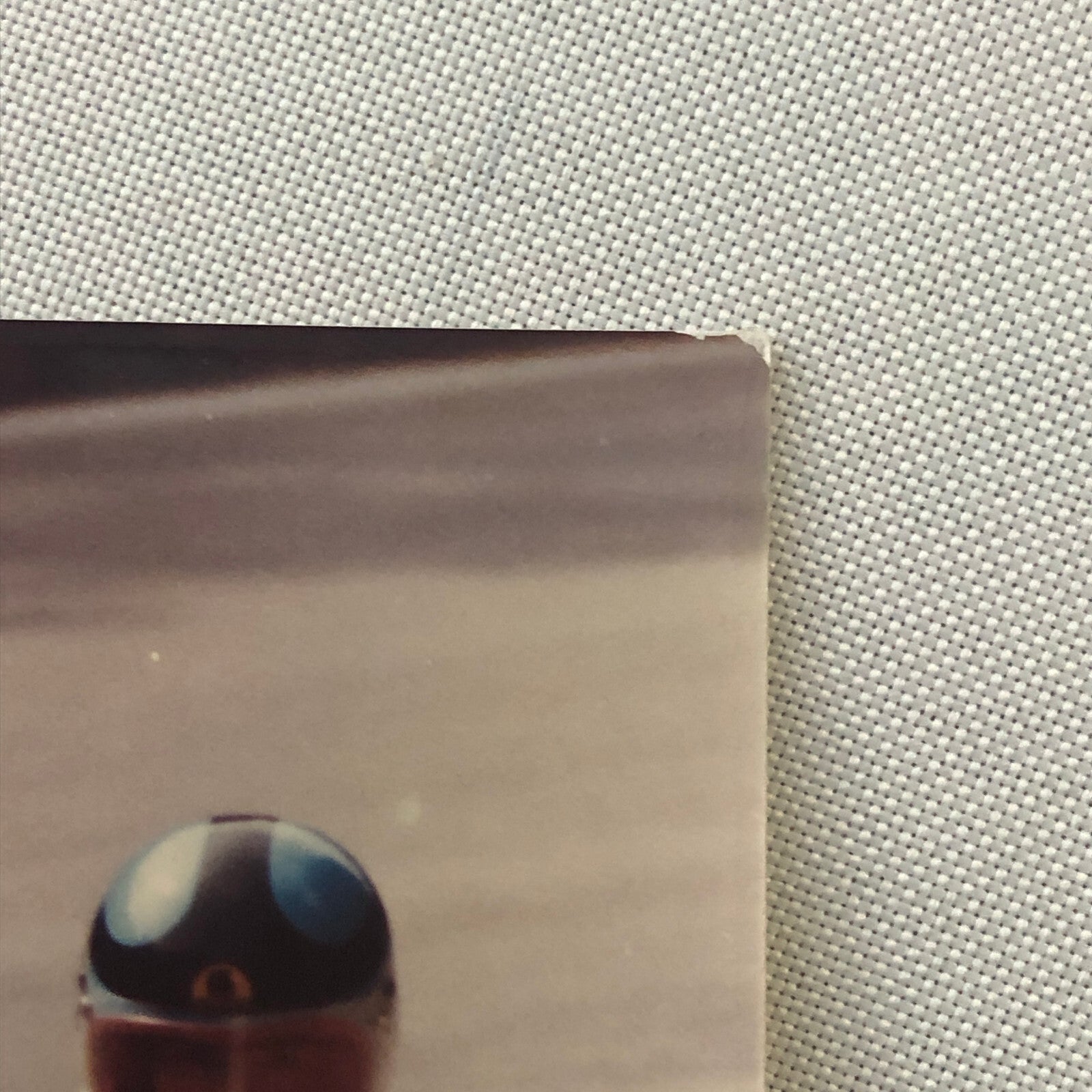 Vintage Motorcycle Racing Photo Photograph Print Germany Sidecar Side Car