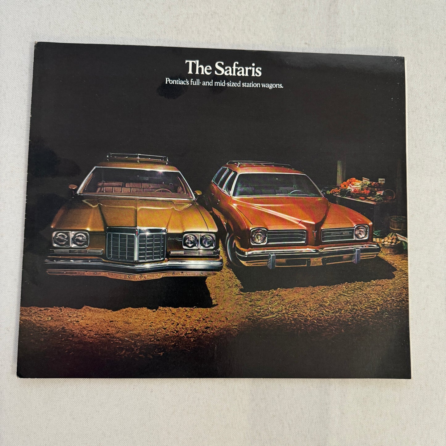 1974 Pontiac Safari Station Wagon Sales Brochure Catalog Grand Catalina LeMans