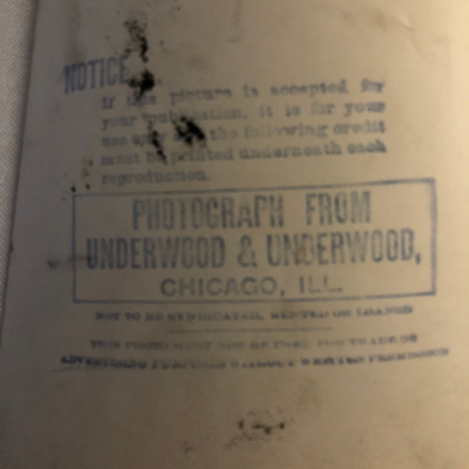 Press Photo Photograph Missing Woman Located 1922 News Photo Portrait