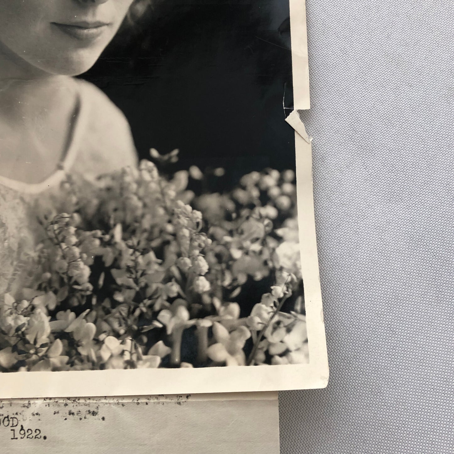 Press Photo Photograph Print Navy Daughter Wedding Catherine Cheatham 1922