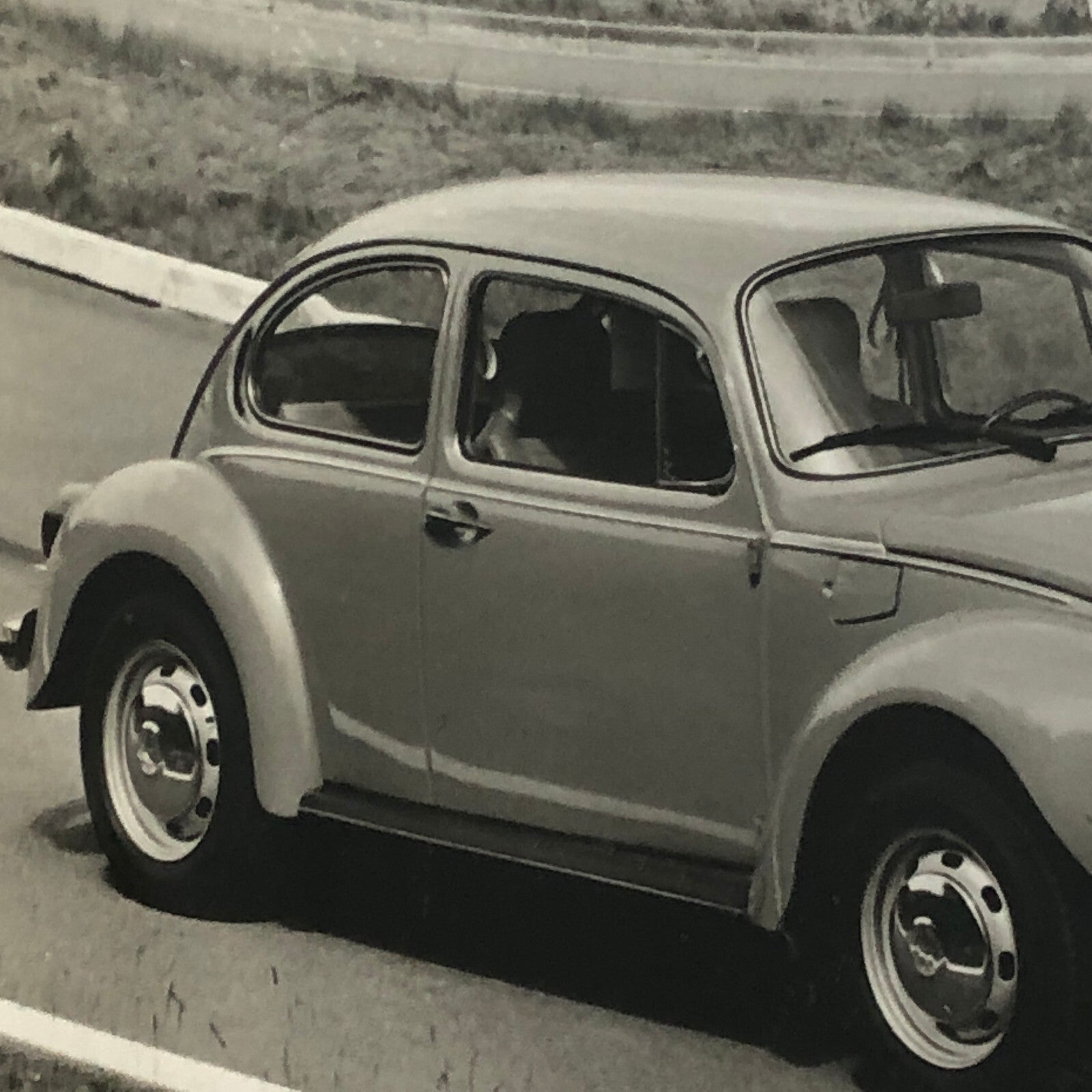 Volkswagen VW Beetle Photo Photograph Print