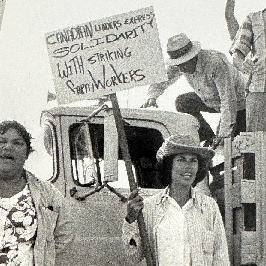 United Farmworkers Union Strike Labour Labor Canada Press Photo Photograph