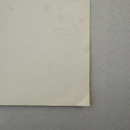 1978 Porsche 911 SC Safari Rally Rallye Car Photo Photograph